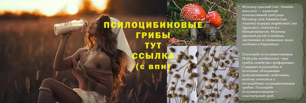 стаф Беломорск