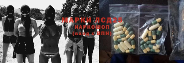 ГАЛЛЮЦИНОГЕННЫЕ ГРИБЫ Белокуриха