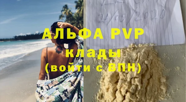 ГАЛЛЮЦИНОГЕННЫЕ ГРИБЫ Белокуриха