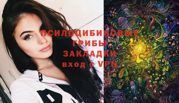 стаф Беломорск