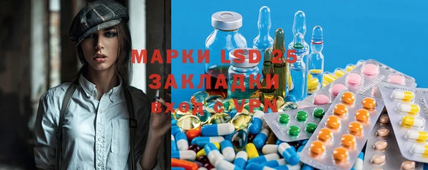 ГАЛЛЮЦИНОГЕННЫЕ ГРИБЫ Белокуриха