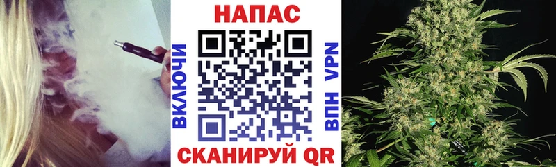 Канабис ГИДРОПОН  KRAKEN зеркало  Сланцы 